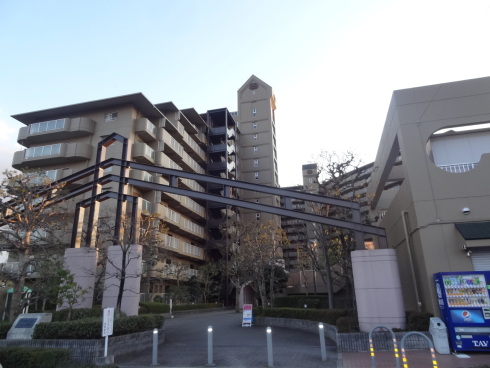 4391-1-151829.jpg
