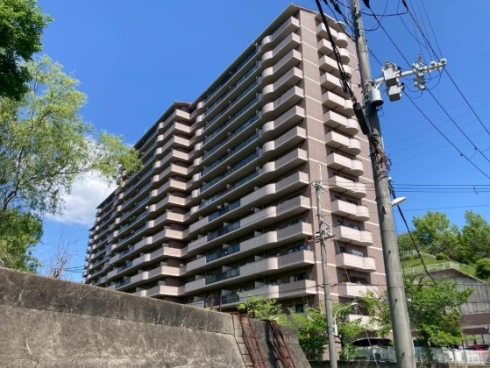 4396-1-110323.jpg